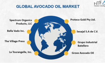 Avocado Oil Market Regaining Its Glory: Bella Vado, Vandex