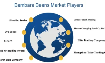 Bambara beans Market to Get a New Boost | Earth Expo