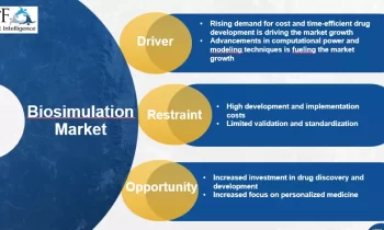 Biosimulation Market to Get an Explosive Growth in Near Future