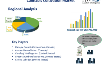 Cannabis Cultivation Market to See Revolutionary Growth with Tilray, Cresco Labs