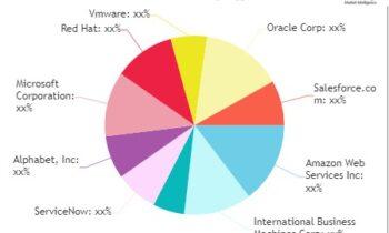 Public Cloud Application Infrastructure Services Market Unseen Opportunity & Growth Challenges- Net Suite, Service Now, Alphabet