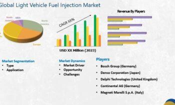 Light Vehicle Fuel Injection Market Unidentified Segments – The Biggest Opportunity Of 2024