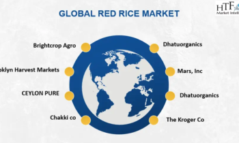 Red Rice Market to Expand Robustly in 2024