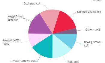 Snow Chains Market 2024: Size, Share, Production and Key Player Analysis