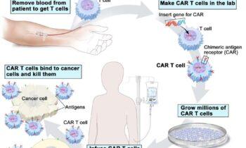 T-Cell Immunotherapy Market to See Massive Growth by 2030 | Major Giants: Gilead Sciences, Merck KGaA