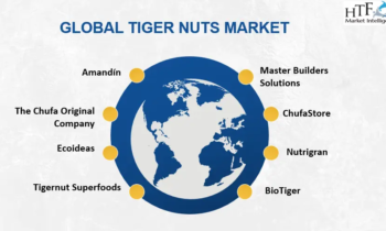 Tiger Nut Market – Sustainable Growth Ahead: Ecoideas, BioTiger, ChufaLife