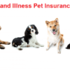 Accident Illness Pet Insurance Market Growth Seen on Heavy Volume