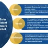 AI Sales Assistant Software Market is expected to drive the tremendous growth by 2032