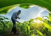 Agricultural Testing Market to Witness Huge Growth by 2030