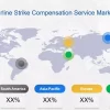 Airline Strike Compensation Service Market Size, Trends, Opportunities and Competitive Analysis 2024-2032