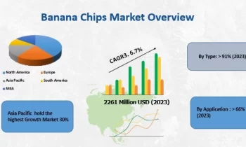 Banana Chips Market is Likely to Experience a Tremendous Growth in Near Future