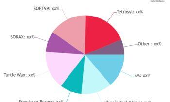 Car Care Cosmetics for Petrol Channel Market SWOT Analysis by Size and Growth Opportunities from 2024 to 2032