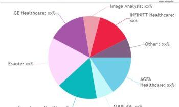 Medical Image Analysis Software Market Is Likely to Experience a Tremendous Growth in Near Future |AQUILAB, Esaote, AGFA Healthcare