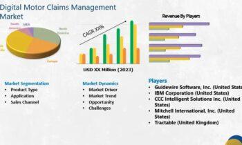 Digital Motor Claims Management Market constantly growing to See Bigger Picture