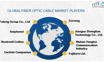 Fiber Optic Cable Market Likely to Enjoy Massive Growth (2024-2030)