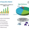 Flying bikes Market Size, Spotlight on Future Potentials (2024-2032)