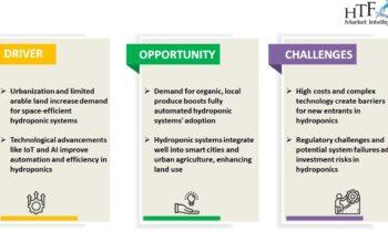 Fully Automated Hydroponic System Market Growth Rate, Forecast & Trend Now & Beyond