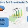 Gooseberry Fruit Extract Market- Latest Study Reveals New Growth Dynamics