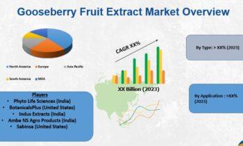 Gooseberry Fruit Extract Market- Latest Study Reveals New Growth Dynamics