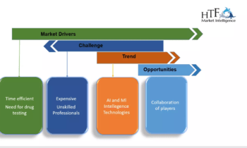 HCS Software and Services Market Likely to Enjoy Massive Growth (2024-2030)