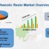 Phenolic Resins Market Size, Share, Future Growth Prospects and Forecast 2024-2030