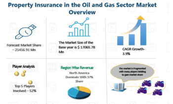 Property Insurance in Oil and Gas Sector Market Is Likely to Enjoy Remarkable Growth (2024-2030)