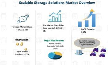 Scalable Storage Solutions Market Size, Share, Future Growth Prospects and Forecast 2024-2030  