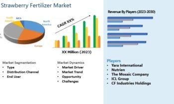 Strawberry Fertilizer Market Set for Strong Growth Outlook: Nutrien, ICL Group, EuroChem Group