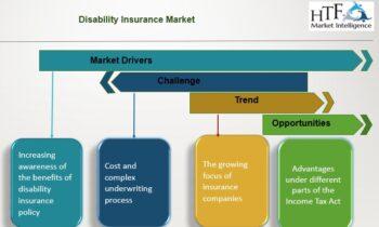 Disability Insurance Market Likely to Boost Future Growth by 2030