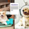 Pet Health Insurance Market to Get an Explosive Growth | Big Giants Petplan, MetLife, Medibank