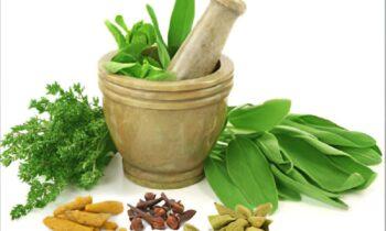 Ayurveda Market is Booming Worldwide with Players: Elzac Herbals, Laboratories