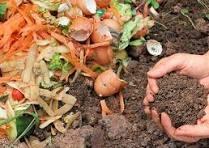 Bio-organic Fertilizer Market Demand Analysis and Projected huge Growth by 2030