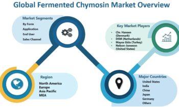 Fermented Chymosin Market Become Attractive Amid High Competition