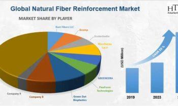 Natural Fiber Reinforcement Market Demand Analysis and Opportunity Outlook 2024-2030