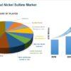 Nickel Sulfate Market Size, Embracing Growth Opportunities in 2024-2030