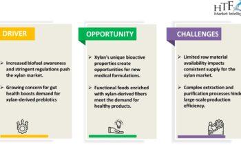 Xylan Market Unidentified Segments – The Biggest Opportunity Of 2024