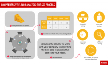 Unveiling Growth: Taste Analysis System Market