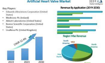 Artificial Heart Valve Market Unidentified Segments – The Biggest Opportunity Of 2024