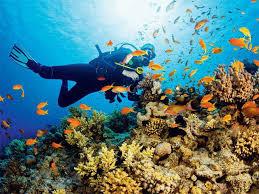 Diving Tourism Market Gain Momentum with Scuba Travel, SeaCrush, ScubaCaribe