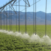 Mechanized Irrigation System Market Gaining Momentum Ahead on Innovation