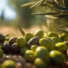 Ripe Olives Market Is Booming So Rapidly | Major Giants Gallo Worldwide, Grupo Ybarra, Olive Line International