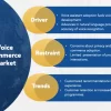 Voice Commerce Market Critical Analysis with Expert