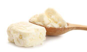 Illipe Butter Market Industry Demand Makes Room for New Growth Story