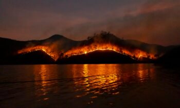 Legal Wildfire Relief Resources to Know About